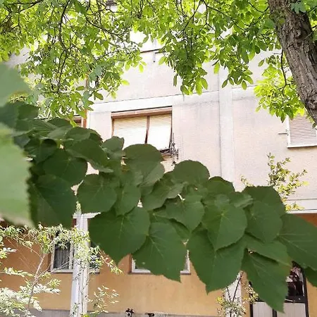 Apartment Anka *