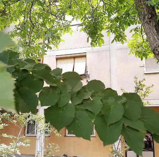 Διαμέρισμα Anka *